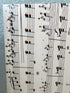 2385 - Sheet Music
